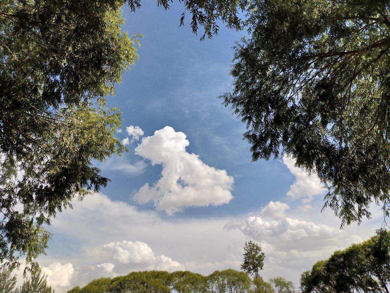 雨后美景