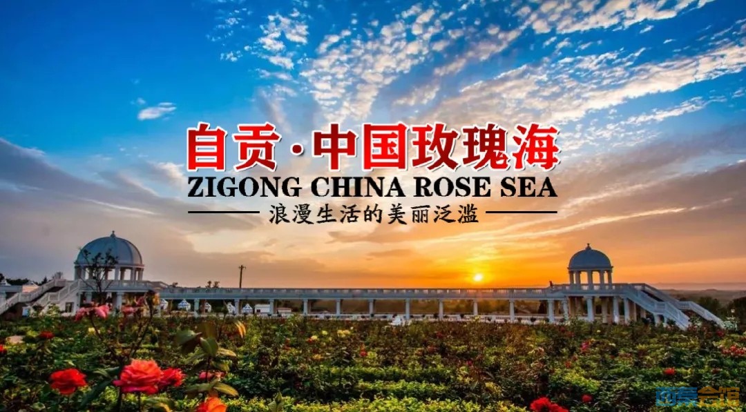 中国玫瑰海七彩玫瑰文化节,门票无限量免费送!