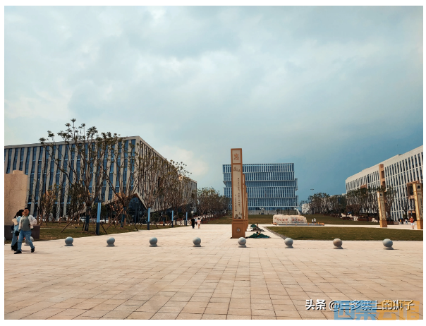 春日的四川轻化工大学(李白河校区)阳光明媚,绿草茵茵