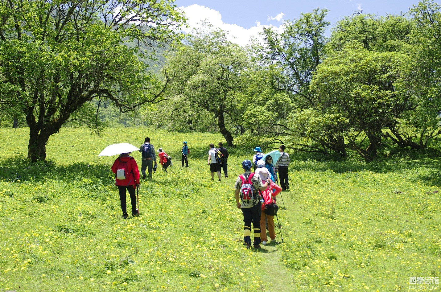 愛生活愛運動群茂縣九頂山之行